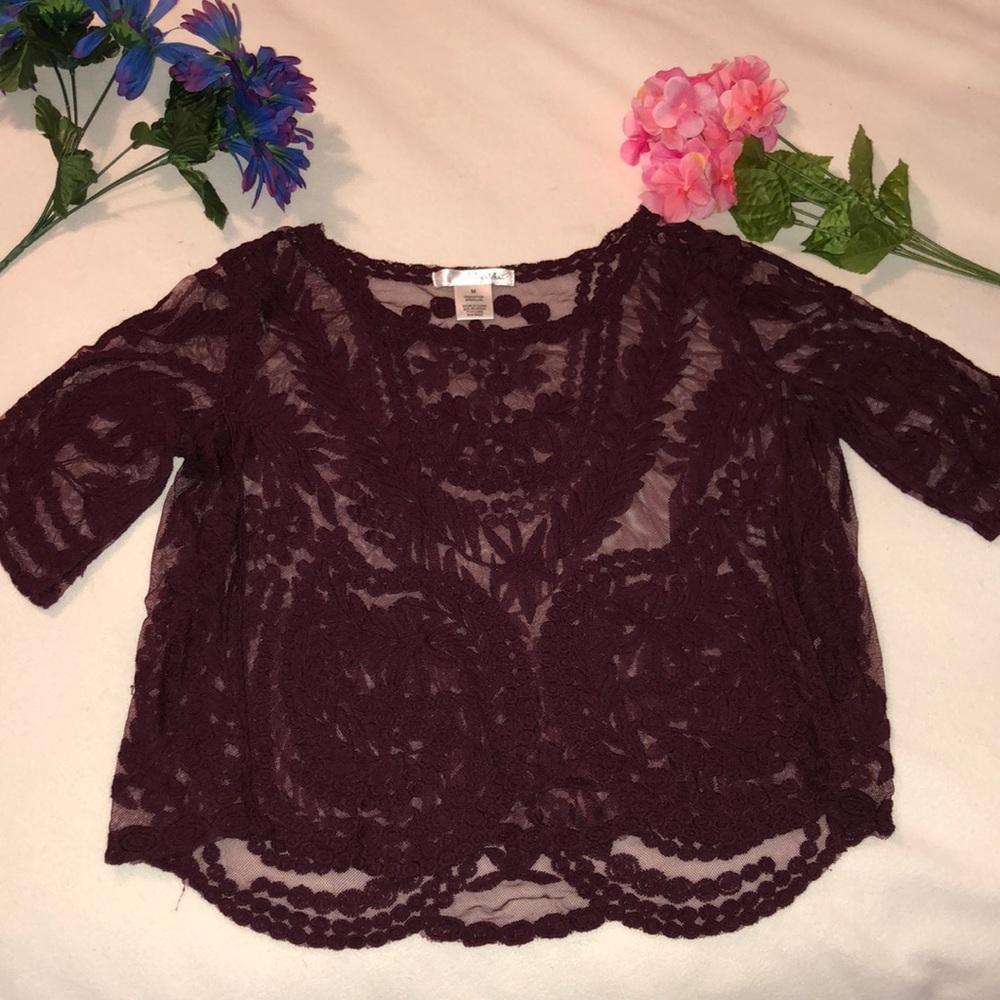 Maroon Mesh Cropped Blouse